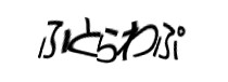 Authentication image